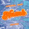 About Numb (Alok Remix) Song