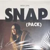 About SNAP Fargo Remix Song