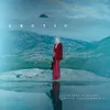 About Under the Arctic Moon Song