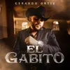 About El Gabito Song