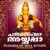 Ayyappa Charitham