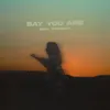 About Say You Are Song