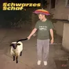 Schwarzes Schaf