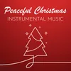About Last Christmas (Instrumental Version) Song