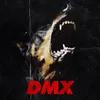 About DMX Song