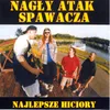 About Stara Nauka Song