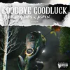 About Goodbye, Goodluck Song