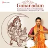 Vaathapi Ganapathim (Instrumental - Nadaswaram)