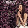 Bai Se Pu Gong Ying Album version