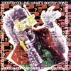 Party On Plastic (What's Bootsy Doin'?) (Album Version)