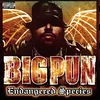 Banned From T.V. Noreaga featuring Big Pun, Jadakiss & Styles (of the L.O.X), Nature, Cam'Ron (Explicit)