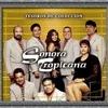 Paloma Brava Album Version