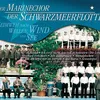 About Beglückt darf nun dich, o Heimat (Chor der älteren Pilger aus "Tannhäuser" von Richard Wagner) Song