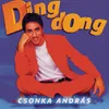 Ding-Dong Radio Version