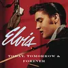 About Today, Tomorrow And Forever (Duet version/take 2) Song