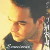 Sin Palabras (Album Version)
