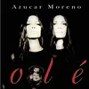 Flamenco (Album Version)