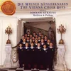 An der schönen blauen Donau (Waltzer, op. 314)