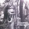 Sasquatch (Album Version)