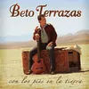 Con Los Pies En La Tierra (Album Version)