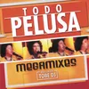 About Todo Pelusa Song