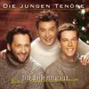 Eine Weihnachtsreise (Album Version)