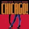 Red Hot Chicago Album Version