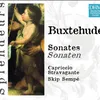 Sonata in D major, BuxWV 267 (for Viola da gamba, Violone & Continuo)