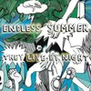 About Endless Summer Song