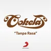 About Tanpa Rasa (Single Only) Song