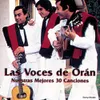 About El Bailarín de los Montes Song