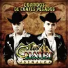 El Corrido Del Compa Santos Album Version
