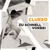 Zu schnell vorbei (Robot Koch Remix)