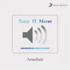 About Say It Now Song