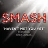 About Haven't Met You Yet (SMASH Cast Version) [feat. Nick Jonas] Song