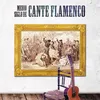 About Sintiendo Estaban las Piedras (Seguiriyas de Paco la Luz y Manuel Cagancho) [Remasterizado] Song