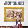 About La Virgen Va Caminando (Tangos Gitanos) [Remasterizado] Song