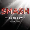 About I'm Goin' Down (SMASH Cast Version) [feat. Megan Hilty] Song