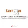 About Cinta Tak Mungkin Berhenti Song