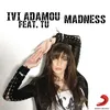 About Madness (feat. tU) Song
