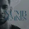 Numb Project 46 Remix