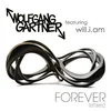 Forever (Hook 'N' Sling Remix)