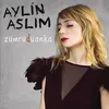 İki Zavallı Kuş feat. Teoman