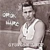 About Örök harc (No Rap Version) Song