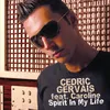 Spirit in My Life (Paul Harris & Audio Cage Remix)