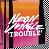 Trouble (Monsieur Adi Remix)