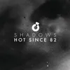 About Shadows Song