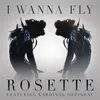 About I Wanna Fly Song