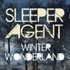 About Winter Wonderland Song