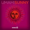 About Sunny (Radio Edit) Song